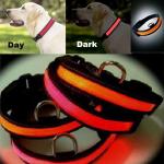 Led dog collar supplier from china