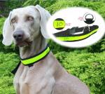 Led dog collar supplier from china