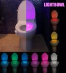 Led toilet light